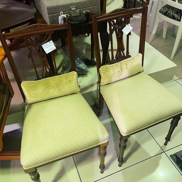 323702453_1331945084258589_2395109562043601353_n (1).jpg