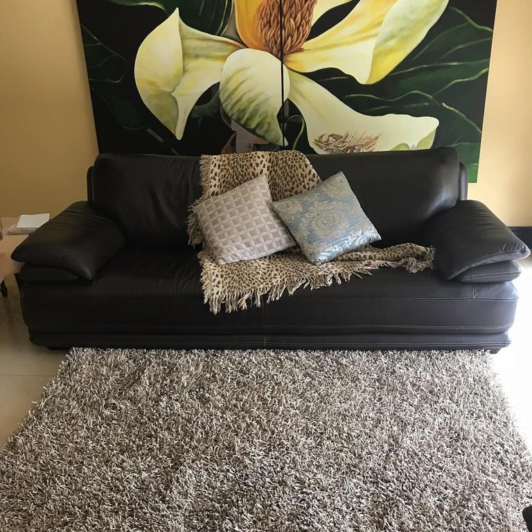 No 215 Ghorbany Collection: Shaggie