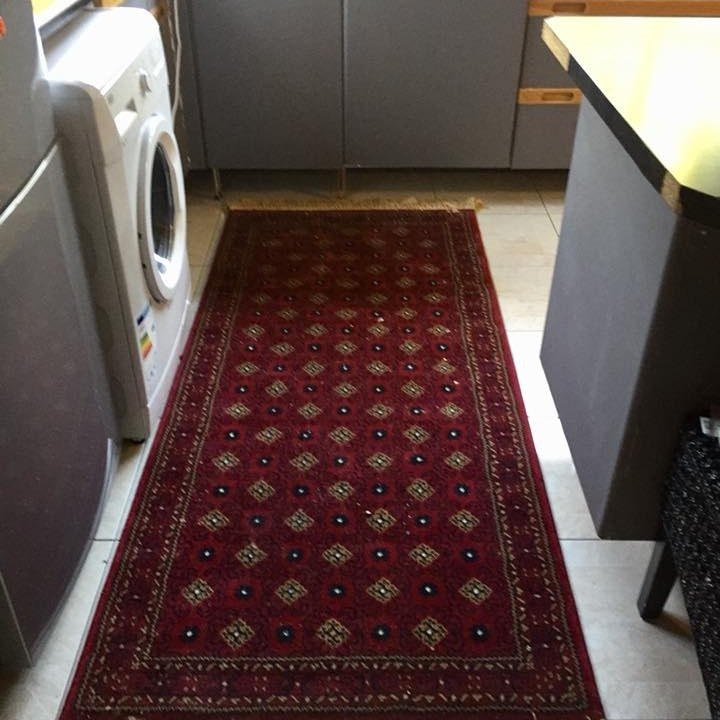 No 228 Ghorbany Collection: Zaya Classic