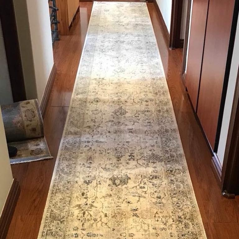 No 229 Ghorbany Collection: Zaya