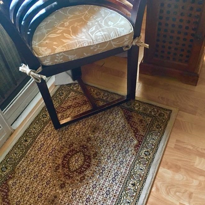 No 227 Ghorbany Collection: Zaya Classic