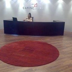 No 305 Ghorbany Collection: Shaggie