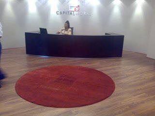 No 305 Ghorbany Collection: Shaggie