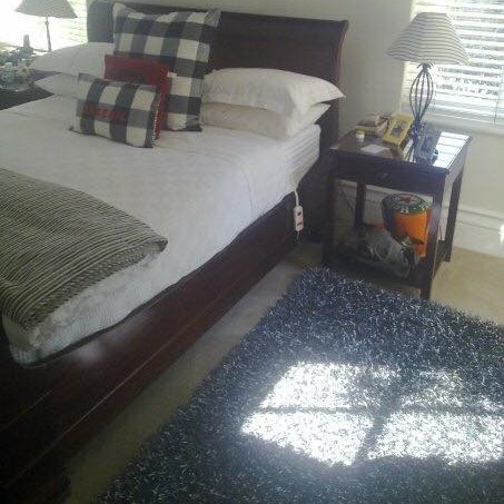 No 308 Ghorbany Collection: Shaggie