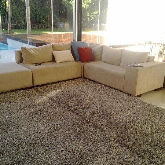 No 290 Ghorbany Collection: Shaggie