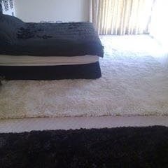 No 291 Ghorbany collection: Shaggie