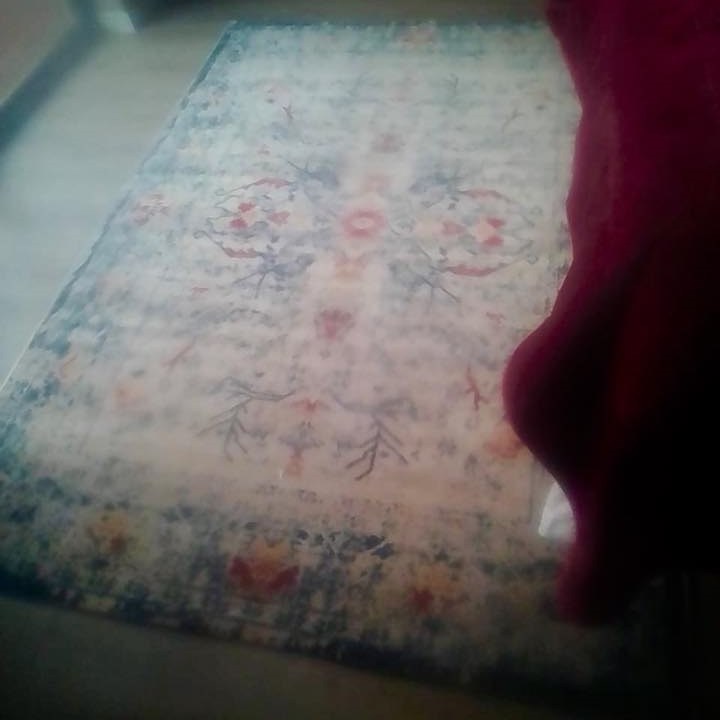 No 345 Ghorbany Collection: Zaya