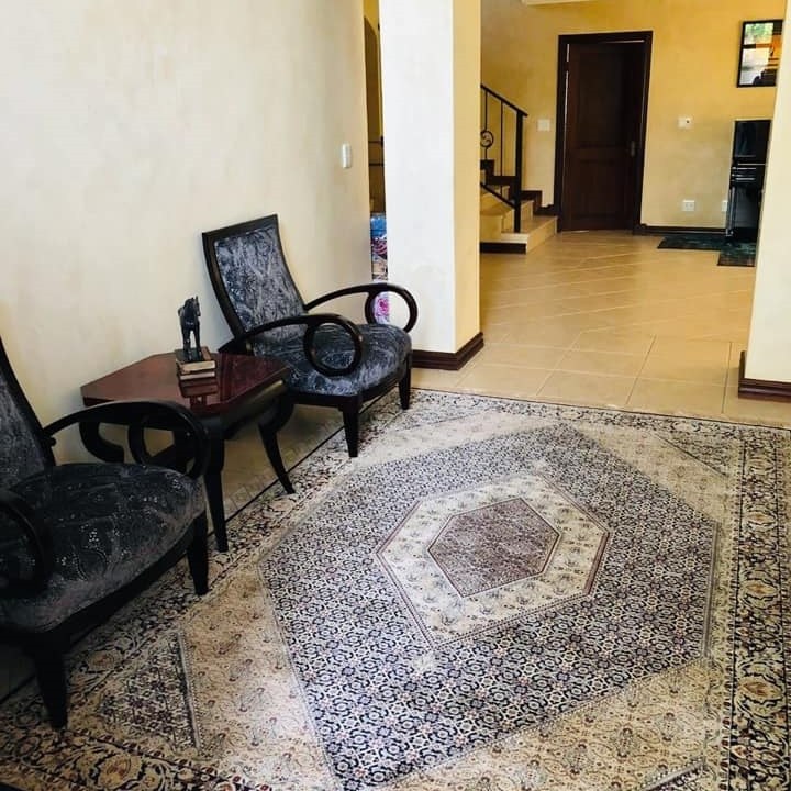 No 380 Ghorbany Collection: Zaya Classic