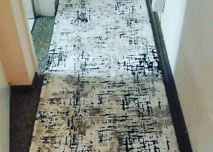 No 403 Ghorbany Collection: Zaya