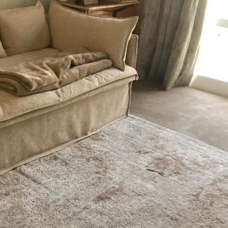 No 563 Ghorbany Collection: Zaya