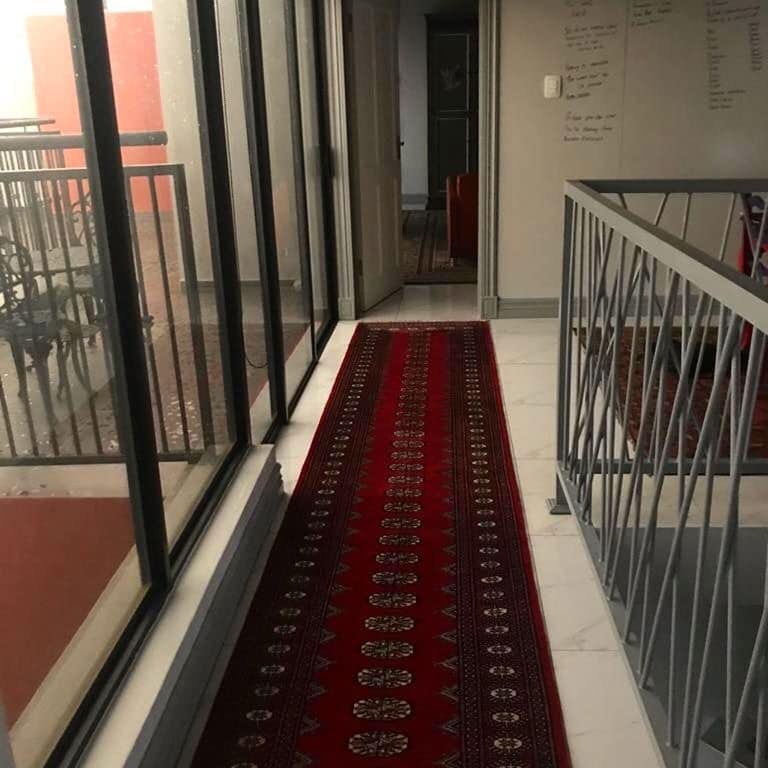 No 561 Ghorbany Collection: Zaya Classic