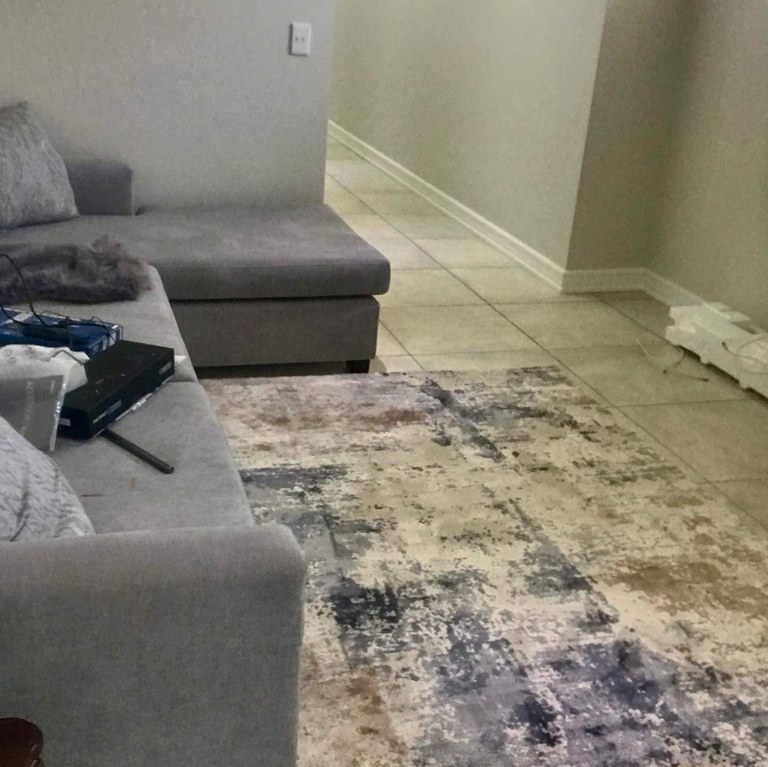 No 465 Ghorbany Collection: Zaya