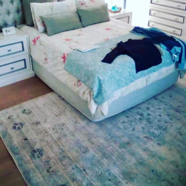 No 478 Ghorbany Collection: Zaya