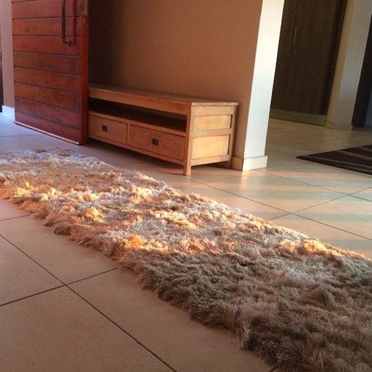 No 354 Ghorbany Collection: Shaggie