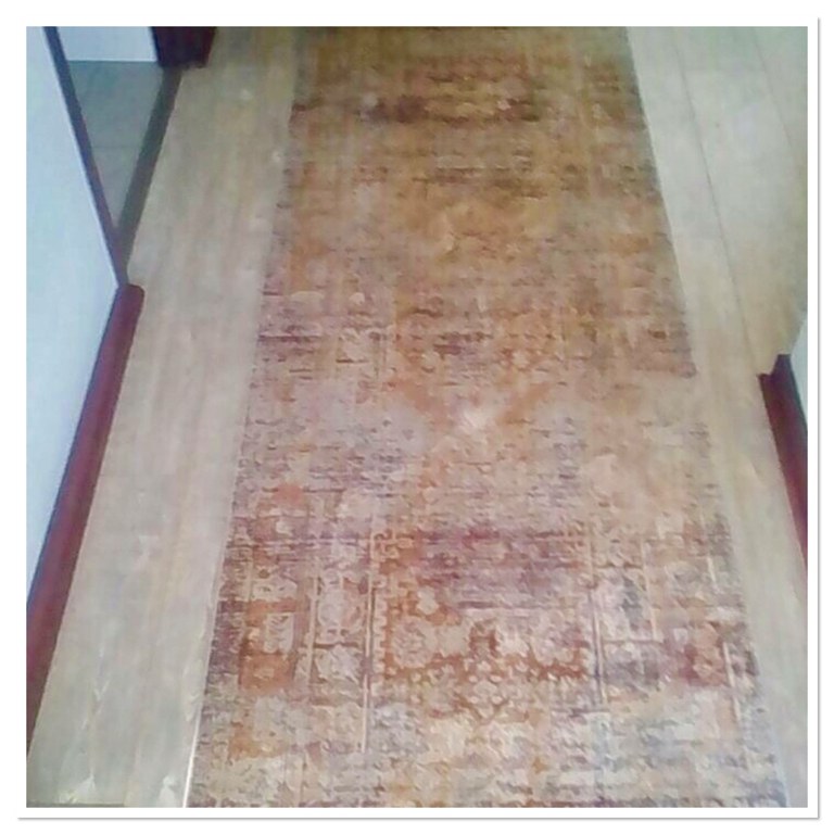 No 186 Ghorbany Collection: Zaya