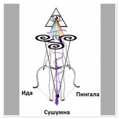 Fig 2 - Carpets of the soul