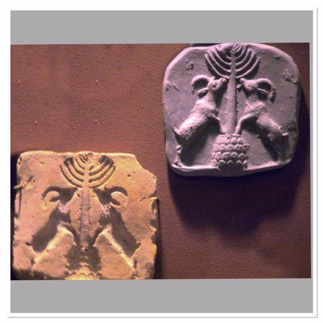 Fig 4 - Carpets of the soul