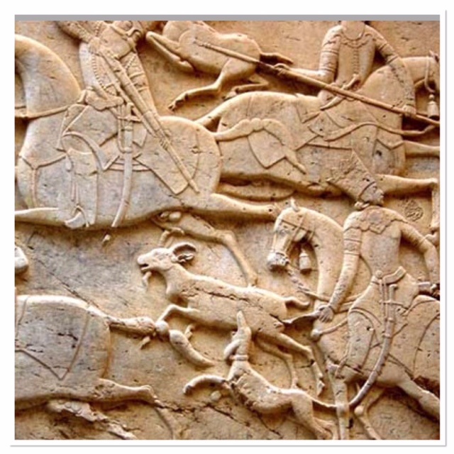 Savashi Canyon relief in Iran