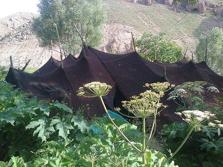 A Sangesari tent made of goat hair